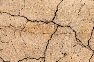 Çatlaklı eski beton ve zaman ve hava koşullarından kaynaklanan doğal yıkım