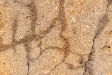 Çatlaklı eski beton ve zaman ve hava koşullarından kaynaklanan doğal yıkım
