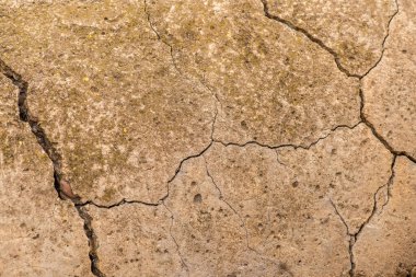 Çatlaklı eski beton ve zaman ve hava koşullarından kaynaklanan doğal yıkım