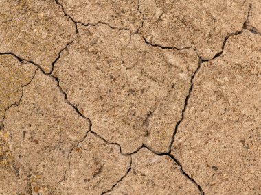 Çatlaklı eski beton ve zaman ve hava koşullarından kaynaklanan doğal yıkım