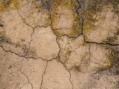 Çatlaklı eski beton ve zaman ve hava koşullarından kaynaklanan doğal yıkım