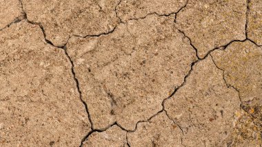 Çatlaklı eski beton ve zaman ve hava koşullarından kaynaklanan doğal yıkım