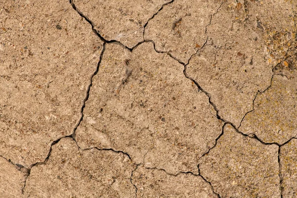 Çatlaklı eski beton ve zaman ve hava koşullarından kaynaklanan doğal yıkım