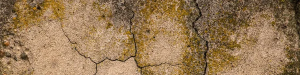 Old Concrete Cement Cracks Natural Destruction Time Weather Conditions — Stock Photo, Image