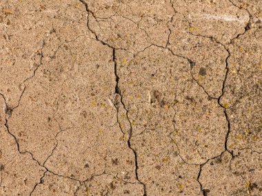 Çatlaklı eski beton ve zaman ve hava koşullarından kaynaklanan doğal yıkım