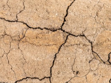 Çatlaklı eski beton ve zaman ve hava koşullarından kaynaklanan doğal yıkım