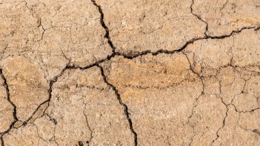 Çatlaklı eski beton ve zaman ve hava koşullarından kaynaklanan doğal yıkım