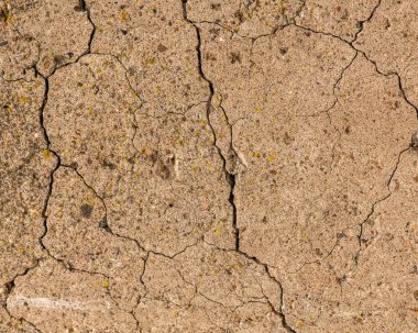 Çatlaklı eski beton ve zaman ve hava koşullarından kaynaklanan doğal yıkım