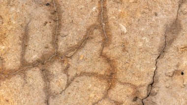 Çatlaklı eski beton ve zaman ve hava koşullarından kaynaklanan doğal yıkım