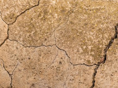 Çatlaklı eski beton ve zaman ve hava koşullarından kaynaklanan doğal yıkım