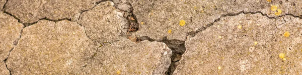 Alter Betonzement Mit Rissen Und Natürlicher Zerstörung Durch Zeit Und — Stockfoto