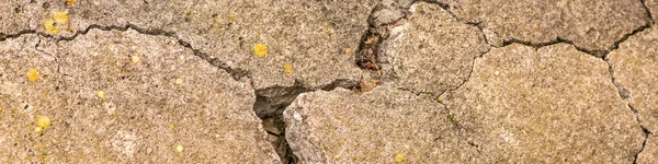 Alter Betonzement Mit Rissen Und Natürlicher Zerstörung Durch Zeit Und — Stockfoto