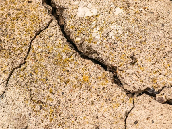 Cemento Hormigón Viejo Con Grietas Destrucción Natural Del Tiempo Las —  Fotos de Stock