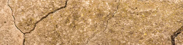 Old Concrete Cement Cracks Natural Destruction Time Weather Conditions — Stock Photo, Image