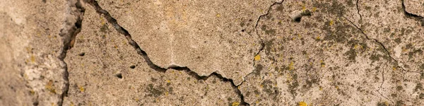 Cimento Concreto Velho Com Rachaduras Destruição Natural Tempo Condições Meteorológicas — Fotografia de Stock