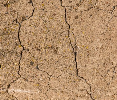 Çatlaklı eski beton ve zaman ve hava koşullarından kaynaklanan doğal yıkım