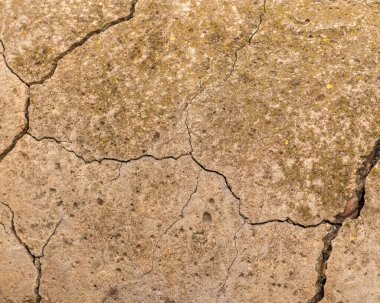 Çatlaklı eski beton ve zaman ve hava koşullarından kaynaklanan doğal yıkım