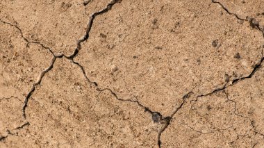 Çatlaklı eski beton ve zaman ve hava koşullarından kaynaklanan doğal yıkım