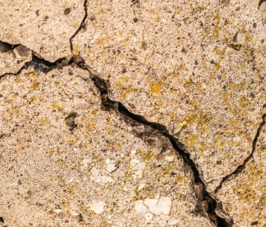 Çatlaklı eski beton ve zaman ve hava koşullarından kaynaklanan doğal yıkım