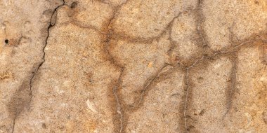 Çatlaklı eski beton ve zaman ve hava koşullarından kaynaklanan doğal yıkım