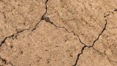 Çatlaklı eski beton ve zaman ve hava koşullarından kaynaklanan doğal yıkım