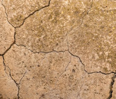 Çatlaklı eski beton ve zaman ve hava koşullarından kaynaklanan doğal yıkım