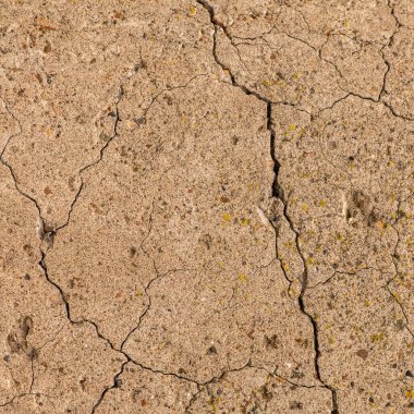 Çatlaklı eski beton ve zaman ve hava koşullarından kaynaklanan doğal yıkım