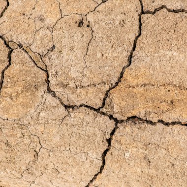 Çatlaklı eski beton ve zaman ve hava koşullarından kaynaklanan doğal yıkım