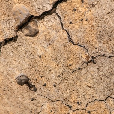 Çatlaklı eski beton ve zaman ve hava koşullarından kaynaklanan doğal yıkım
