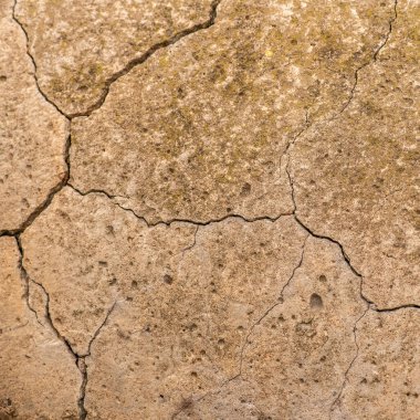 Çatlaklı eski beton ve zaman ve hava koşullarından kaynaklanan doğal yıkım