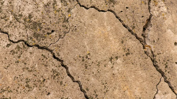 Gammel Betongsement Med Riss Naturlig Ødeleggelse Fra Tid Værforhold – stockfoto