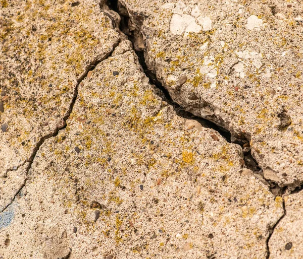 Gammal Betongcement Med Sprickor Och Naturlig Förstörelse Från Tid Och — Stockfoto