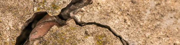 Alter Betonzement Mit Rissen Und Natürlicher Zerstörung Durch Zeit Und — Stockfoto