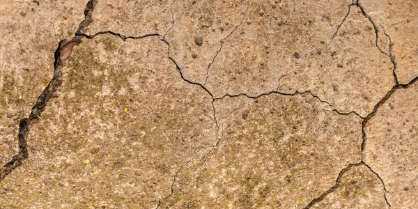 Old Concrete Cement Cracks Natural Destruction Time Weather Conditions — Stock Photo, Image