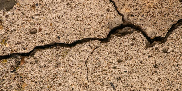 Gammel Betongsement Med Riss Naturlig Ødeleggelse Fra Tid Værforhold – stockfoto