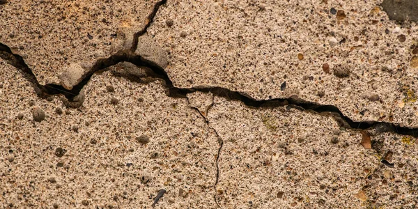 Gammel Betongsement Med Riss Naturlig Ødeleggelse Fra Tid Værforhold – stockfoto