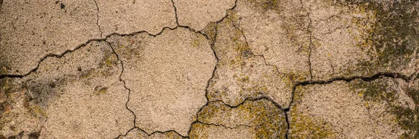 Alter Betonzement Mit Rissen Und Natürlicher Zerstörung Durch Zeit Und — Stockfoto