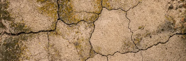 Old Concrete Cement Cracks Natural Destruction Time Weather Conditions — Stock Photo, Image