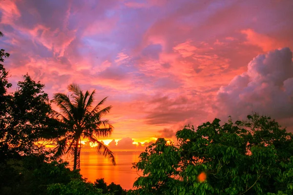 Red Fire Sunset Adaman Sea Blue Sky Palm End Wood — Stock Photo, Image