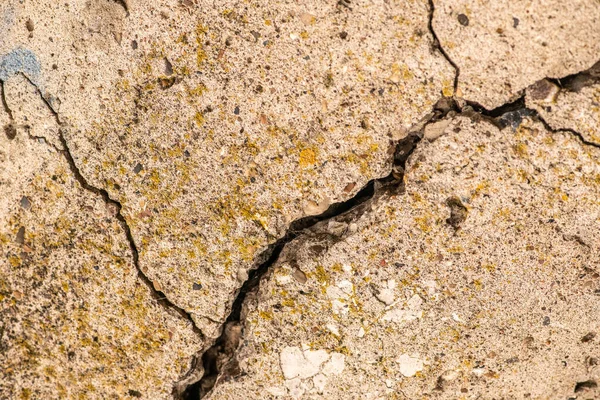 Старый Бетонный Цемент Высокого Разрешения Трещинами Естественным Разрушением Времени Погодных — стоковое фото