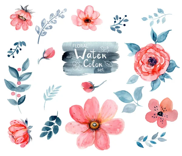 Acquerello Floral Set Con Fiori Rosa Elementi Design Cartoline Inviti — Foto Stock