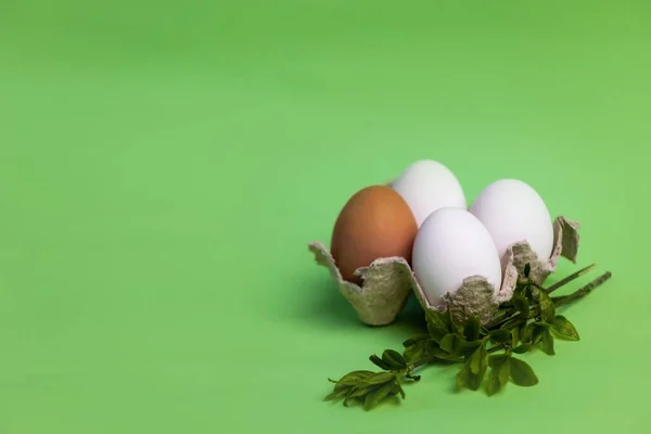 Белые Коричневые Яйца Бумажном Стаканчике Зеленом Фоне Креативное Минимальное Понятие — стоковое фото