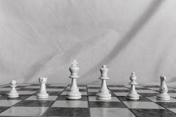 Échecs photographiés sur un échiquier — Photo