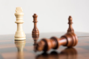 Satranç tahtasında fotoğraflanmış.