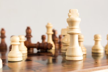 Satranç tahtasında fotoğraflanmış.