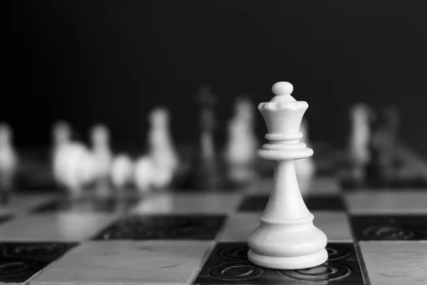 Schach auf einem Schachbrett fotografiert — Stockfoto