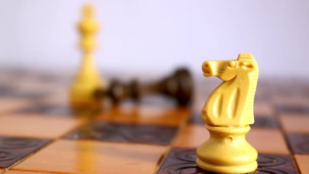 Schachmatt mit Niederlage und Tiefenschärfe — Stockvideo