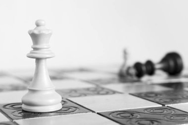 Satranç tahtasında fotoğraflanmış.