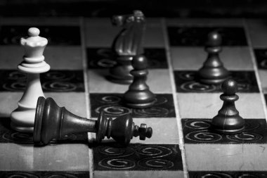 Satranç tahtasında fotoğraflanmış.