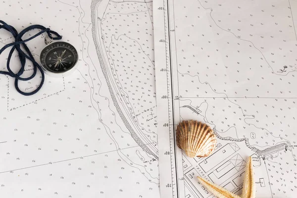 Deniz kabukları ve deniz çizelgeleri — Stok fotoğraf